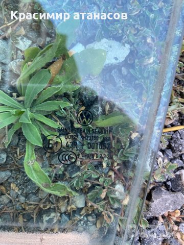 Странично стъкло задно ляво за Vw голф плюс 2005-2010, снимка 2 - Части - 41744385