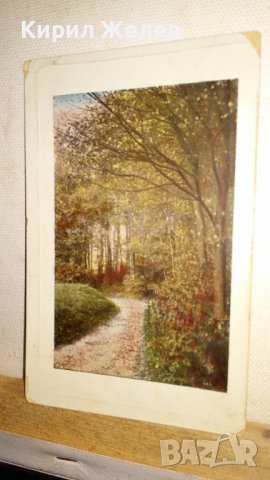 1909г. СТАРА ПОЩЕНСКА КАРТИЧКА ТВЪРД КАРТОН РЯДКА ЦВЕТНА ЛИТОГРАФИЯ ЦАРСТВО БЪЛГАРИЯ с МАРКА 32460, снимка 14 - Филателия - 38684433