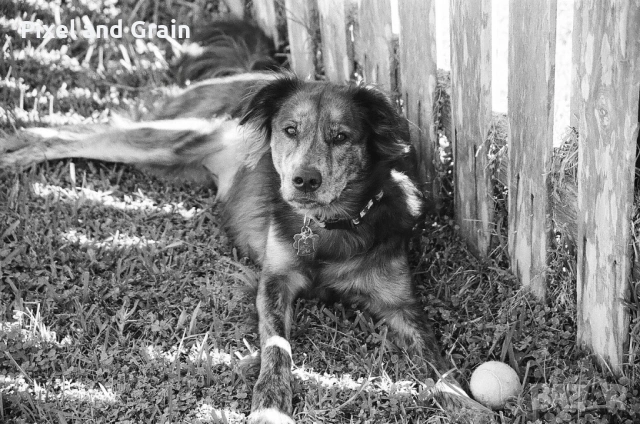 Sigma AF 28-200mm f3.8-5.6 EF обектив Канон, снимка 9 - Обективи и филтри - 53567259