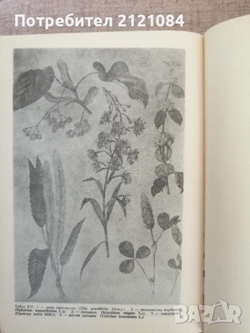 Пчеларска енциклопедия , снимка 4 - Специализирана литература - 51709781