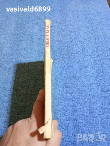 "Библия за деца", снимка 2 - Специализирана литература - 53573874