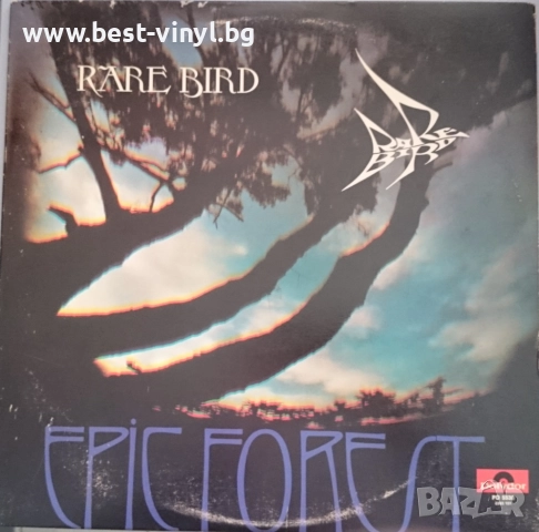 Грамофонна Плоча (Rare Bird - Epic Forest)