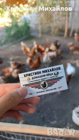 Яйца на дребно и на едро