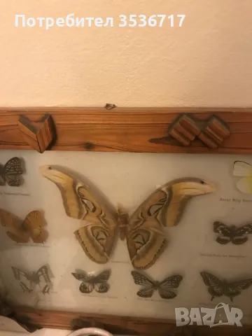 Украшения , снимка 14 - Антикварни и старинни предмети - 44461367