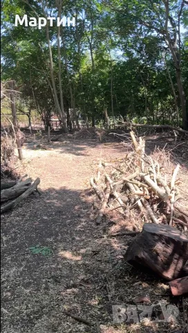 Предлагам помощ с непосилни задачи в двора, лозето или градината в област Плевен, снимка 4 - Други почистващи услуги - 55834234