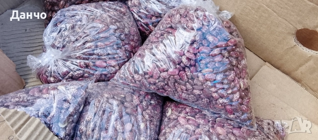 Продавам разсад-ягоди малини лозе алое Вера маруля стари сортовете семена картофи и де, снимка 9 - Разсади - 52299966