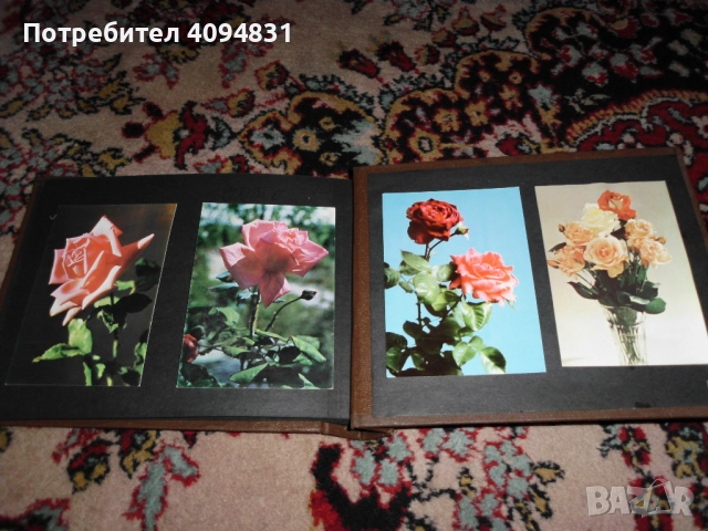 Стари албуми 2бр. с Пощенски картички / Цветя, снимка 13 - Колекции - 52099682