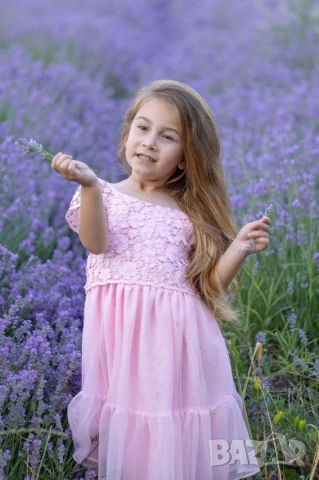 лавандилова сесия на 5мин.Пловдив , снимка 7 - Фотографи - 50738156