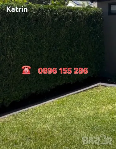 Озеленяване/ Поддръжка , снимка 9 - Други услуги - 48863308