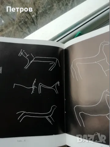 Български средновековни рисунки-графити Димитър Овчаров, снимка 3 - Специализирана литература - 48229062