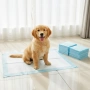 Хигиенни пелени-подложки за кучета XL 40х60 см – силно абсорбиращи и непромокаеми 100 броя, снимка 1