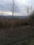 Парцел в м-т Козлуджа, снимка 5