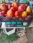 Продавам вкусни домати, снимка 5