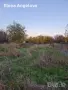 Парцел в с. Чешнегирово (Пловдив), с готов ФУНДАМЕНТ, УПИ 2036 кв , снимка 4