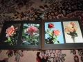 Стари албуми 2бр. с Пощенски картички / Цветя, снимка 13