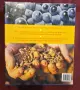 The New Italy. A Complete Guide to Contemporary Italian Wine, снимка 16