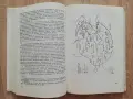 Проблеми на българския език в Македония, Иван Кочев, снимка 4