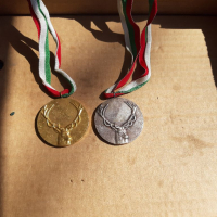Два броя медали, снимка 2 - Колекции - 36216483