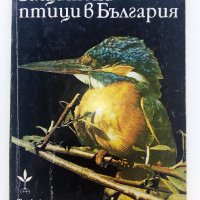 Защитените птици в България - Т.Мичев,Н.Райков - 1980г. , снимка 1 - Енциклопедии, справочници - 42235831