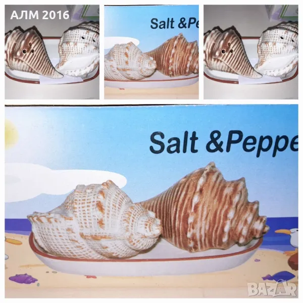Солници с морски мотиви Раковини, снимка 1