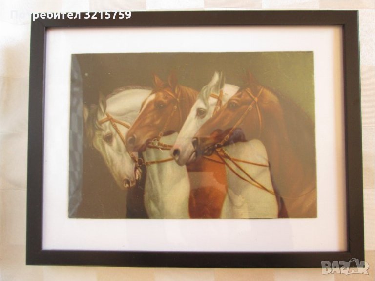 Стара красива цветна литография,коне, нова рамка,26х20см., снимка 1