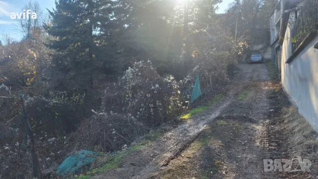 Незастроен имот във в.з Косанин Дол, снимка 3 - Парцели - 48277570