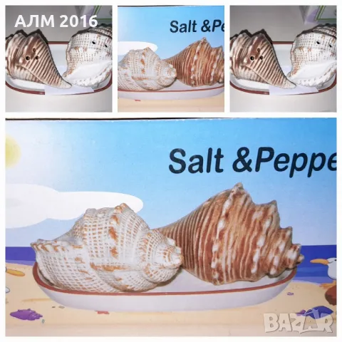 Солници с морски мотиви Раковини