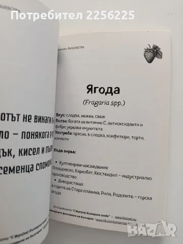 Малинови вълшебства, снимка 3 - Специализирана литература - 55774808