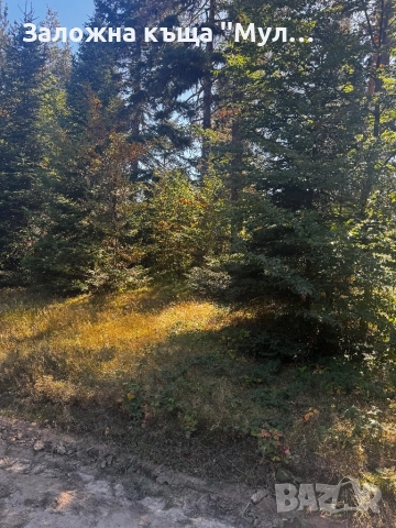 Парцел Цигов чарк, снимка 5 - Парцели - 51823147