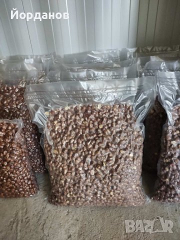 Български лешници без черупка - реколта 2025 г., снимка 8 - Други - 35210181