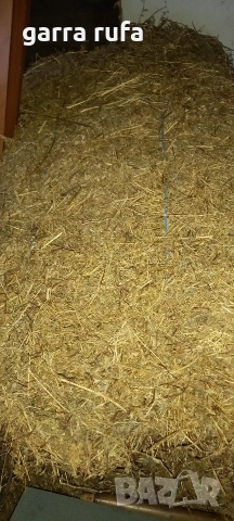 Бали люцерна л, снимка 3 - За селскостопански - 53766649