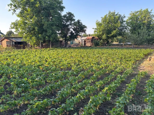 къща в село Методиево, снимка 14 - Къщи - 50840571