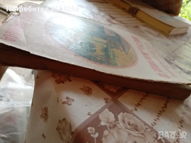 Цветя за жилището Жена Папазова Антонова, снимка 2 - Художествена литература - 55835231