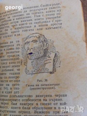 Стари книги, снимка 9 - Антикварни и старинни предмети - 39884387