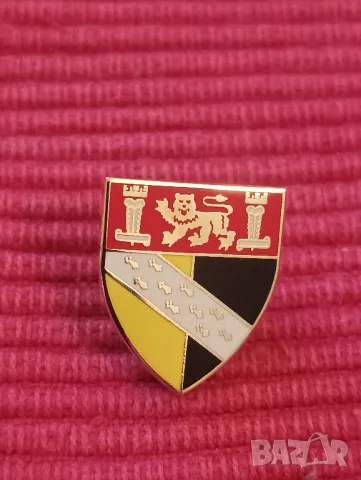 Значка,Крикет клуб Норфолк. , снимка 3 - Колекции - 48037630