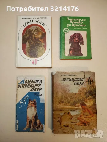 Боби-хоби - Йожеф Хаяш, Пал Шаркани