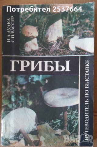 Грибъи  И.А.Дудка