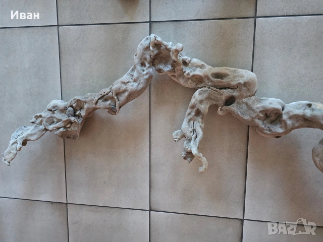 корен от дърво с камъни в него, снимка 4 - Декорация за дома - 53568968