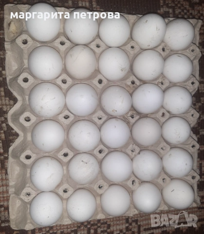 Яйца за консумация от свободно отглеждани кокошки 