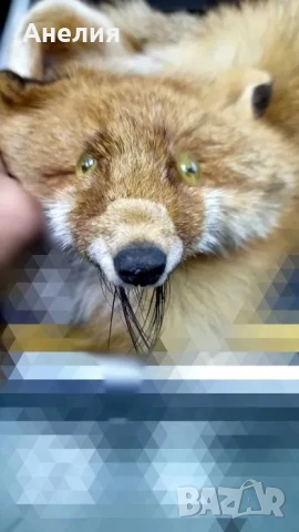 Истинска от едно време за украса на вилата, снимка 2 - Декорация за дома - 51362804