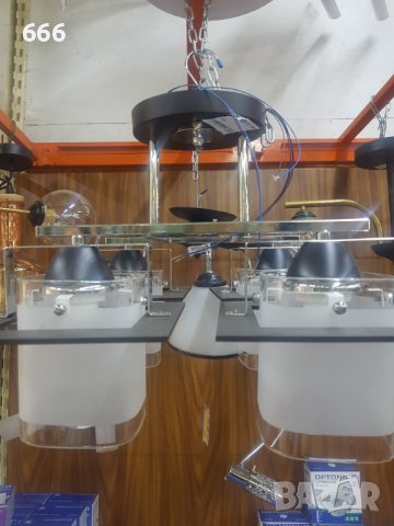 Полилей, снимка 3 - Полилеи - 42550281