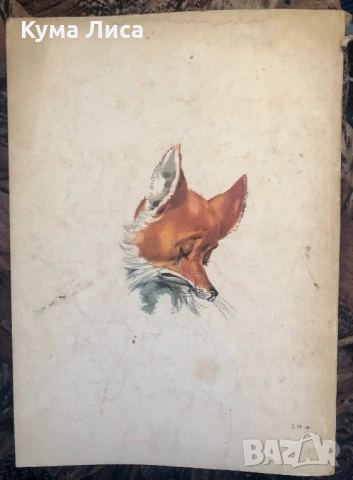 Приключенията на Пинокио 1975г, снимка 3 - Детски книжки - 51296330