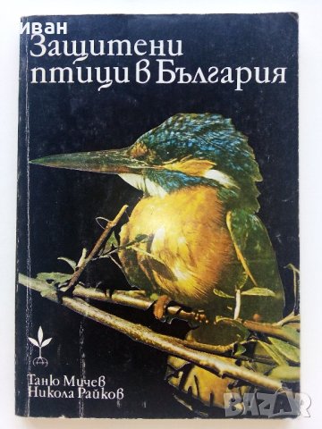 Защитените птици в България - Т.Мичев,Н.Райков - 1980г. , снимка 1 - Енциклопедии, справочници - 42235831