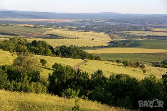 Парцел в с.Аврен, снимка 9 - Парцели - 51170960