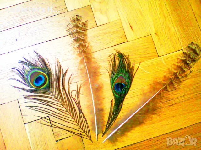 4 броя паунови пера за декорация