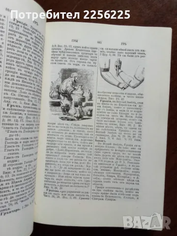 Български библейски речник, снимка 6 - Специализирана литература - 50206884
