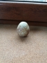 Колекционерско яйце от полускъпоцен камък , снимка 3