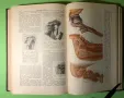 Стара Книга Голяма Медицинска Енциклопедия А.Бакулев на Руски, снимка 8
