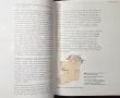 English in the World. History, Diversity, Change, снимка 7