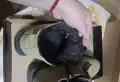 Дамски зелени боти, снимка 7